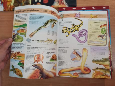 Knowledge masters hb, 