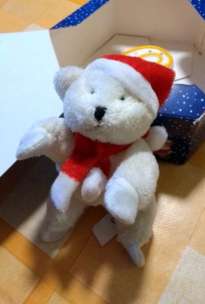 Ľadový medvedík s magnetkami,