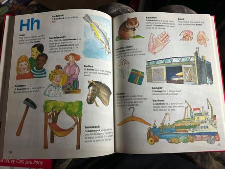 Detský obrazový slovník,