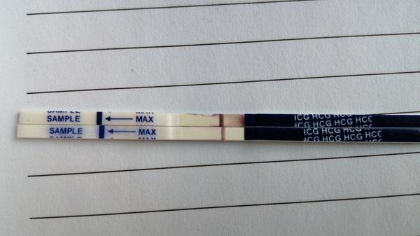 Môže z toho niečo byť?