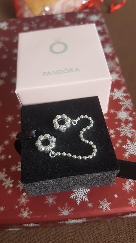 Bezpečnostná retiazka pandora, pandora