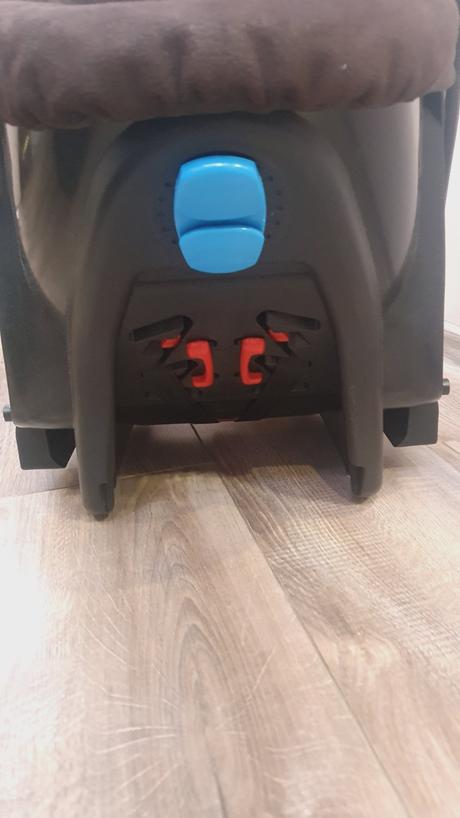 Kočík neonato puro, neonato,neonato puro