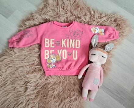 Mikinka paw patrol, 86