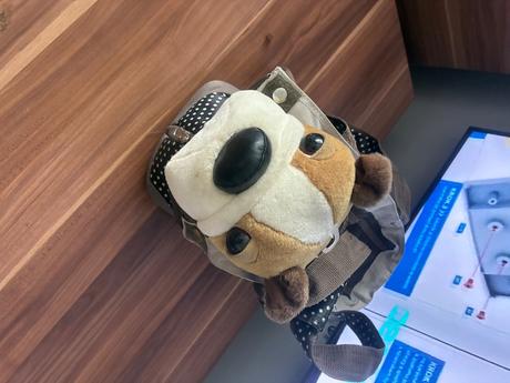 Taška na nosenie psika, 