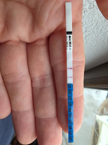 Ovulácia a posunutý cyklus