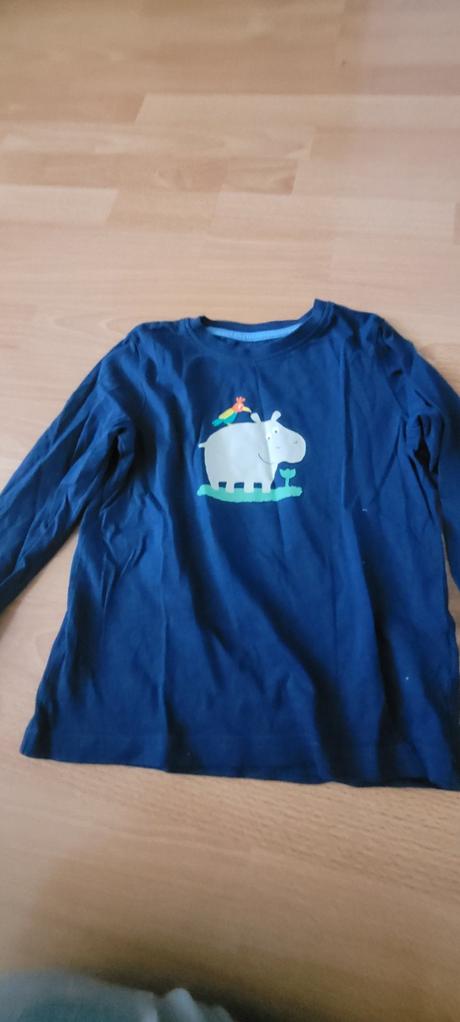 Tricko hrošik, lupilu,110