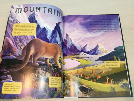 Animals at night glow in the dark ea20,