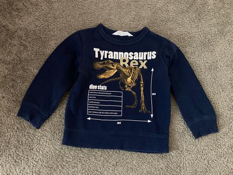 Tyranosaurus mikina v.98/104, h&m,98