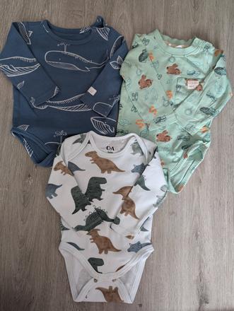 Body, coccodrillo,68