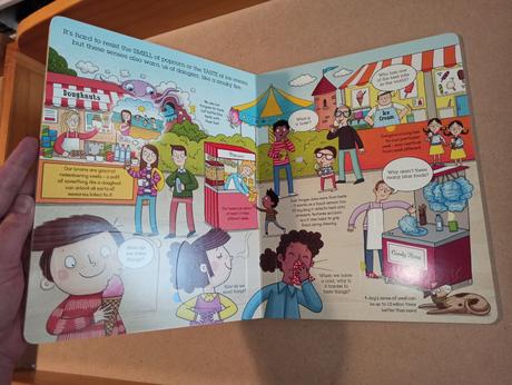 Sensational senses flap book,