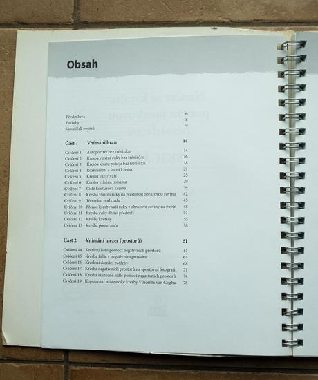 Naučte se kreslit pravou mozkovou hemisférou, 