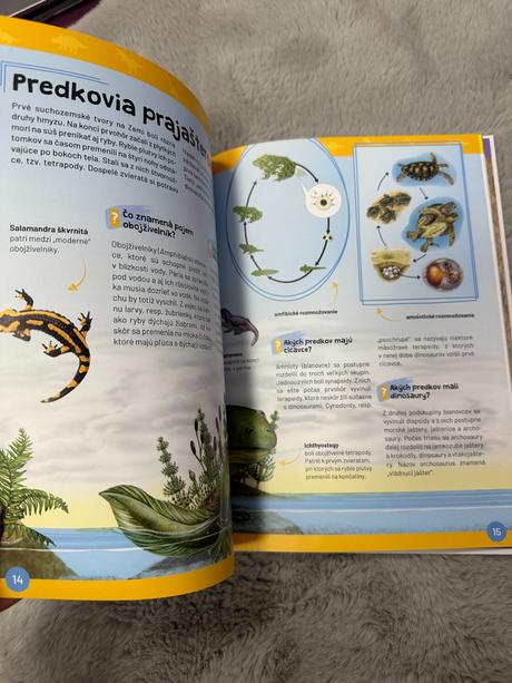 Dinosaury - vieme to,