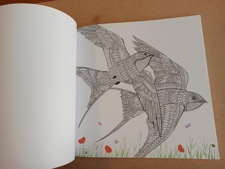 The aviary - bird portraits to colour, 