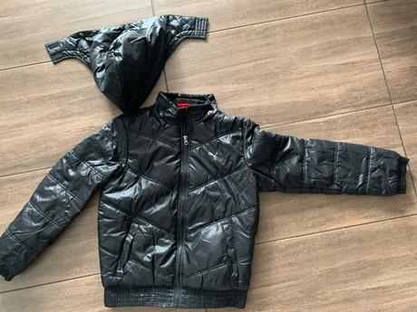 Bunda, puma,152