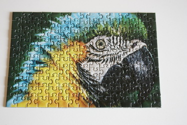 Puzzle 100 ks - drobné,