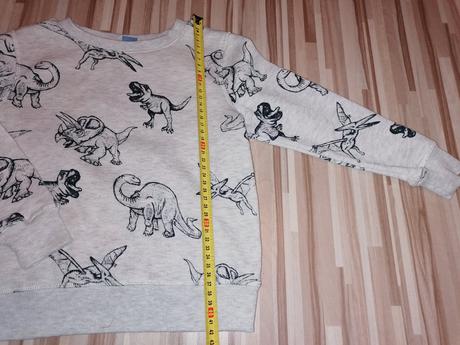 Mikina, dopodopo,110