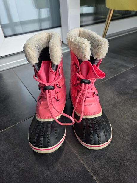 Snehule sorel, sorel,34