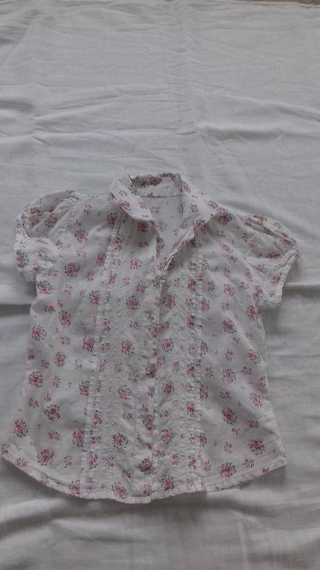 Bluzka, st. bernard,134