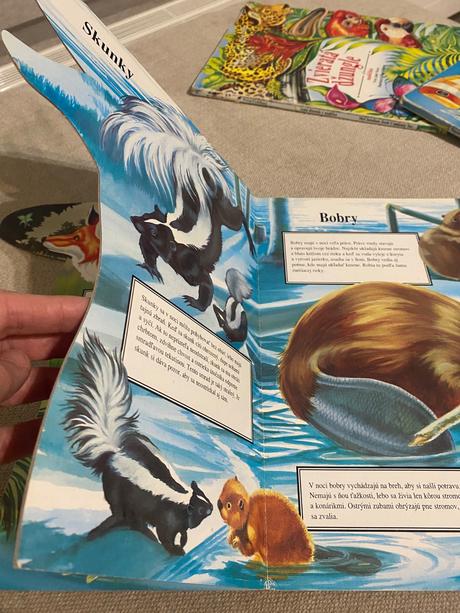 Leporelo nočné zvieratá v malíčku judy nayer,