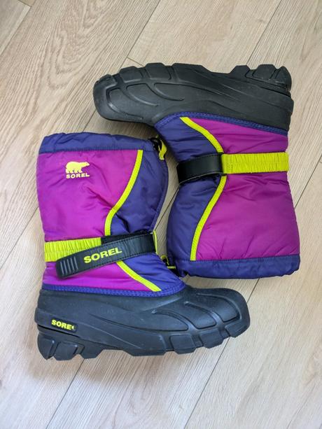 Snehule sorel, sorel,39