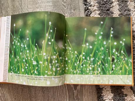 Feng šuej doma-prvé vyd.2005,