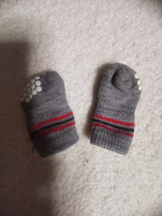 Ponožky pre psíka,