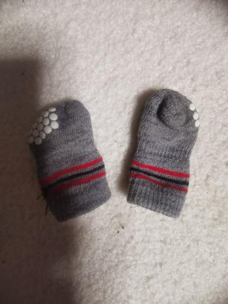 Ponožky pre psíka,