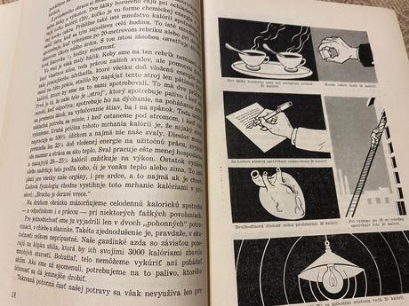 Správna výživa zdravých a chorých tatran 1951, 