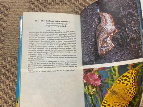 Stará krásna retro kniha motýle 1982 jozef polonec,