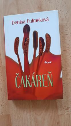 Denisa fulmeková, čakáreň,