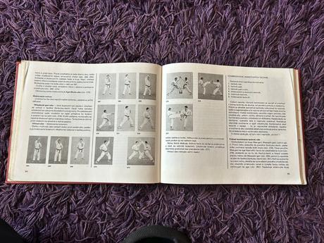 Karate - základy sebeobrany,