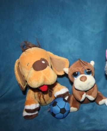 Plysaci - havko a opicka,