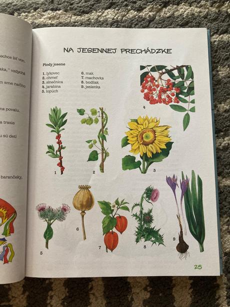 Ottova veľká kniha prvák, 