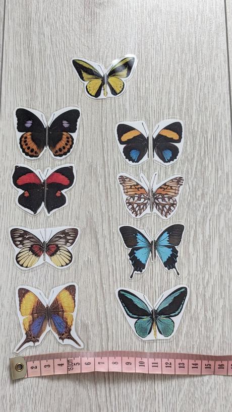 Aktivity na rozvoj zrakového vnímania a pozornosti,