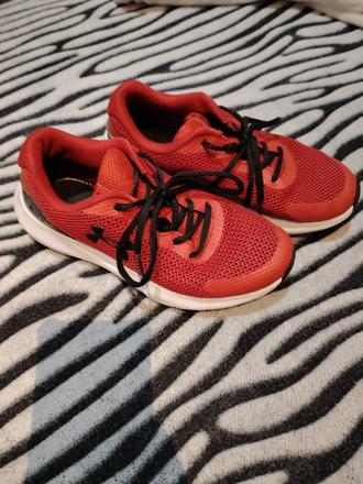 Botasky, under armour,37