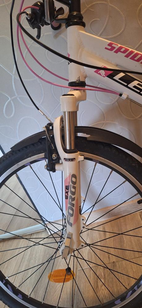 Dievčenský bicykel, 24