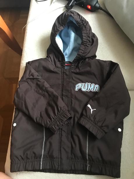 Puma bunda, puma,92