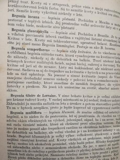 Okrasné rastliny v byte a na pracovisku, 