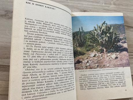 Krásna kniha o pestovaní kaktusov zelení ježci,