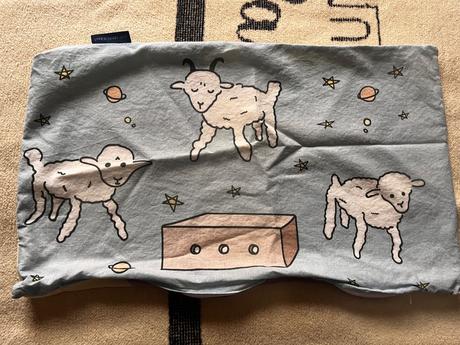 Poťah na vankúš malý princ, šírka (cm): 30,dĺžka (cm): 30