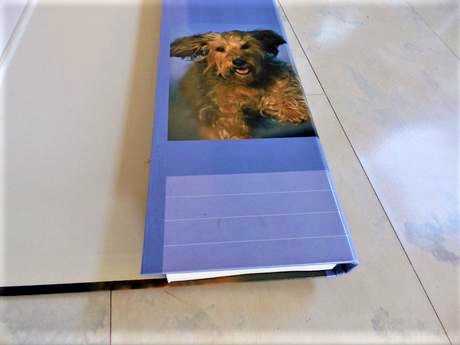 Box/školské dosky so psíkom a4, 