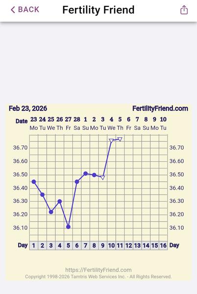 Kedy nastáva ovulácia pri meraní bazálnej teploty?