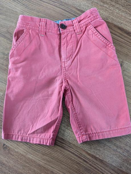 Kraťase, st. bernard,104