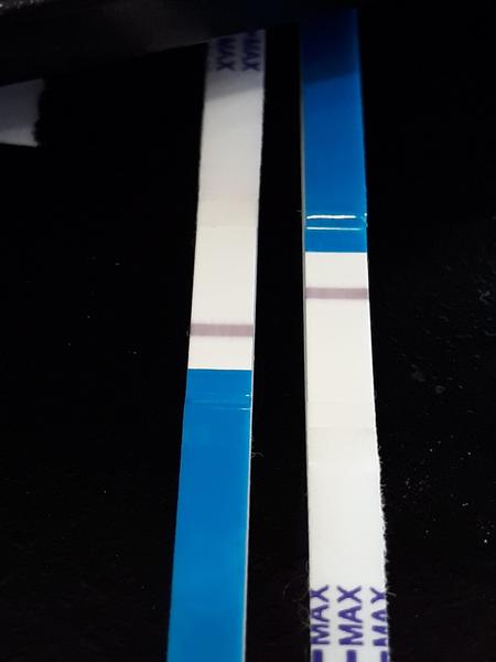 Tehotenský test - vidíte II?