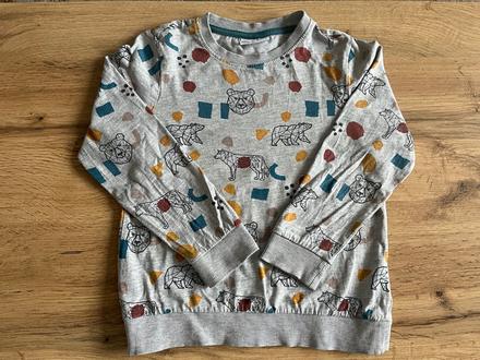 Chlapčenska bavlenena mikina, coccodrillo,110