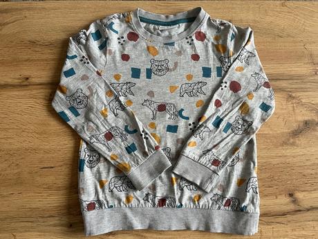 Chlapčenska bavlenena mikina, coccodrillo,110