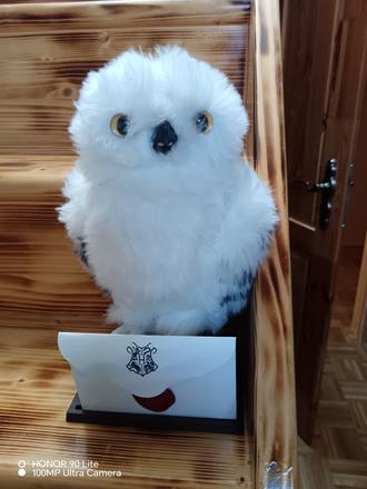 Sova harryho potera, 