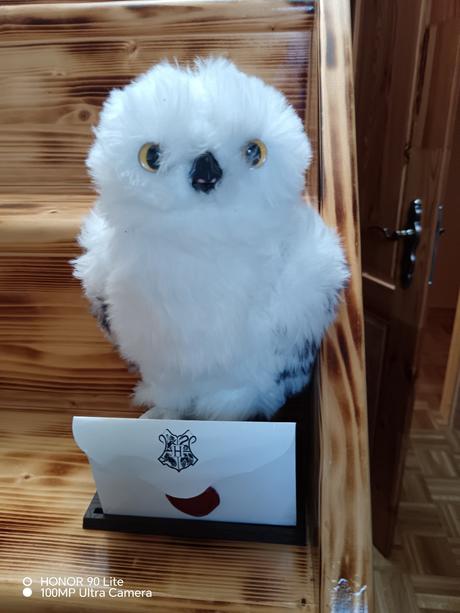 Sova harryho potera, 