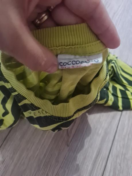 Tričko, coccodrillo,164