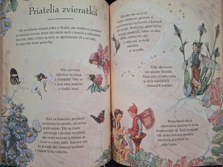 Kvetinové víly a ich tajomný svet - kniha, 